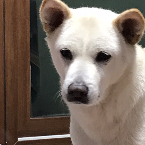 우리-애-아빠-보는-눈빛-봐-18-이미지