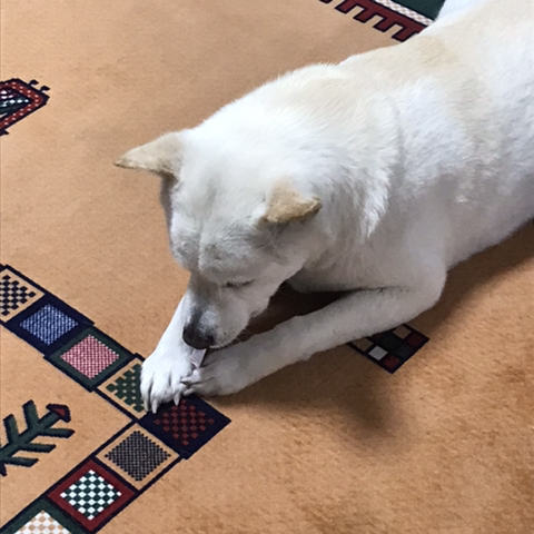 우리-애-아빠-보는-눈빛-봐-73-이미지