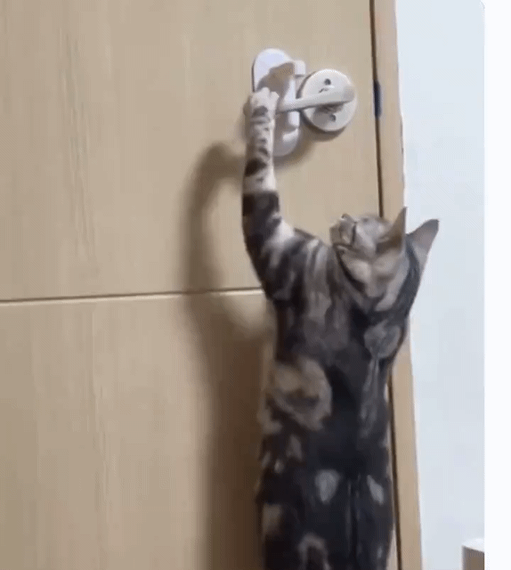 문고리-잠금장치-베스트-리뷰.x-1-이미지