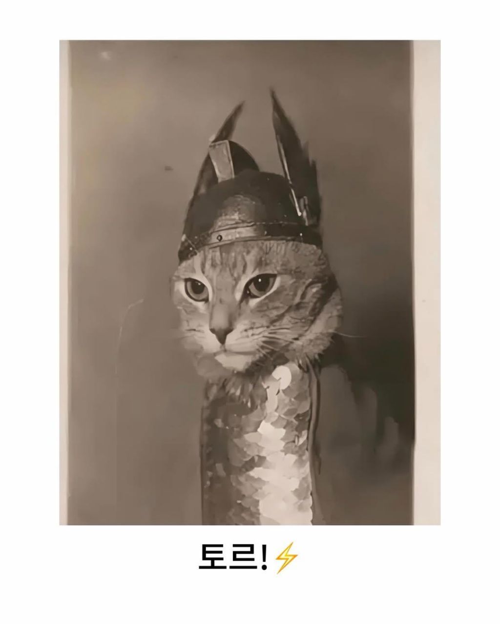 예전이나-지금이나-고양이-자랑은-참는게-아님-5-이미지