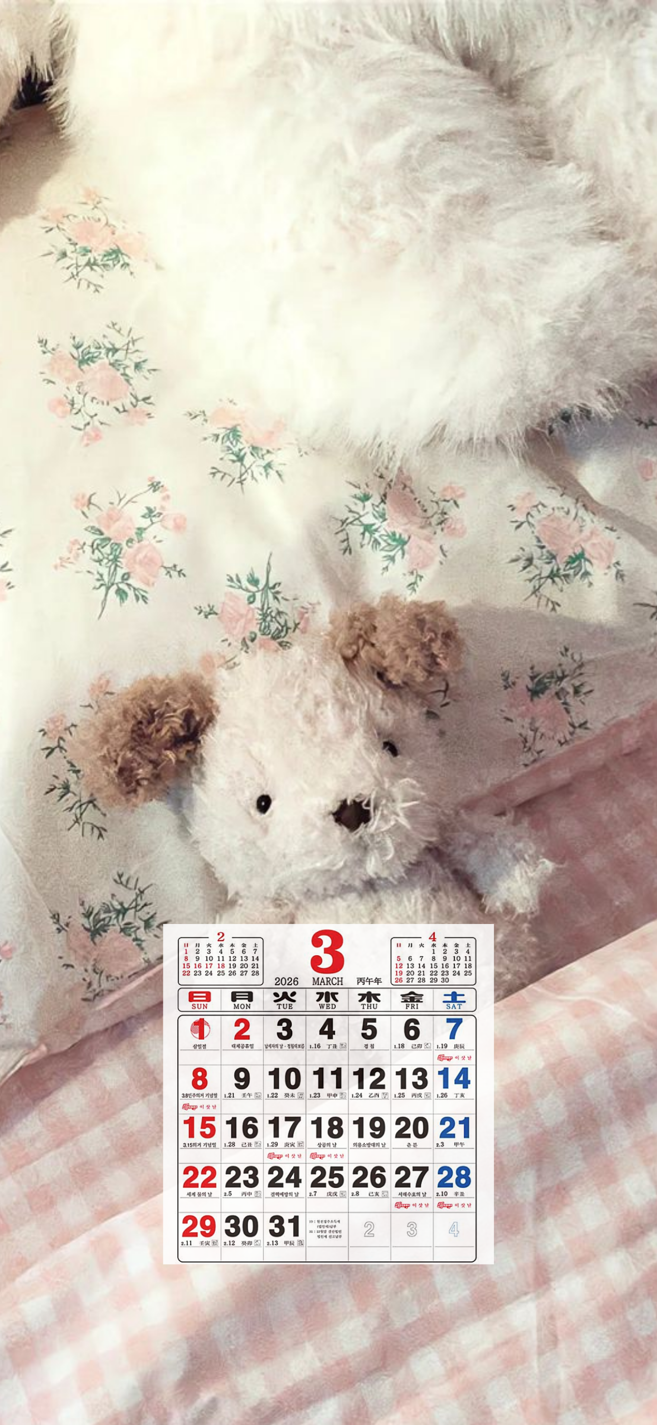 내가-쓰려고-만든-3월-달력-배경화면-86-이미지