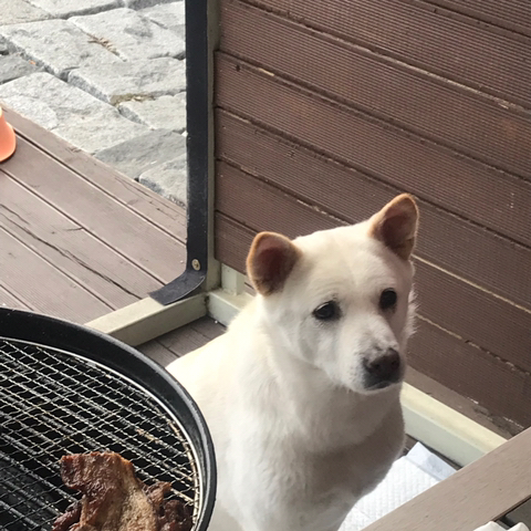 우리-애-아빠-보는-눈빛-봐-55-이미지