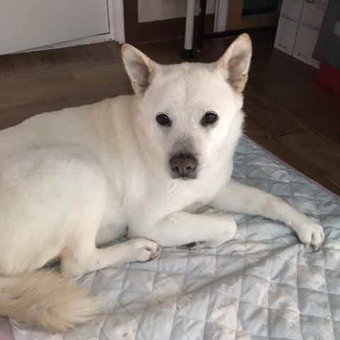 우리-애-아빠-보는-눈빛-봐-48-이미지