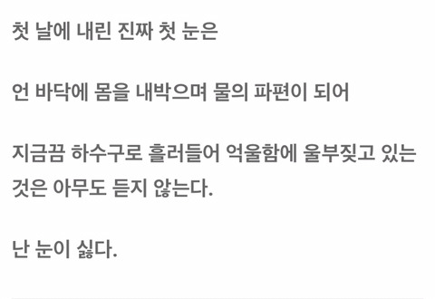 커뮤니티서-난리-났던-초등학교-천재-시인,-초6이-쓴-시-‘첫눈’-3-이미지