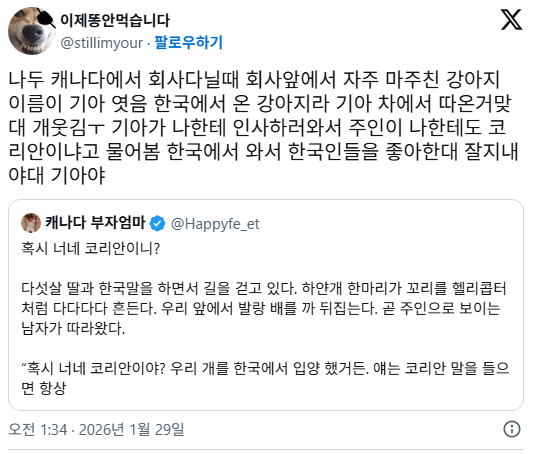 미국에서-진도-입양한-사람들-이야기보면-산책하다가-동아시아여자-보면-빤히-쳐다보는-경우-많다함-2-이미지