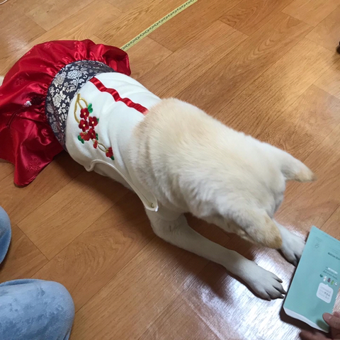 우리-애-아빠-보는-눈빛-봐-14-이미지