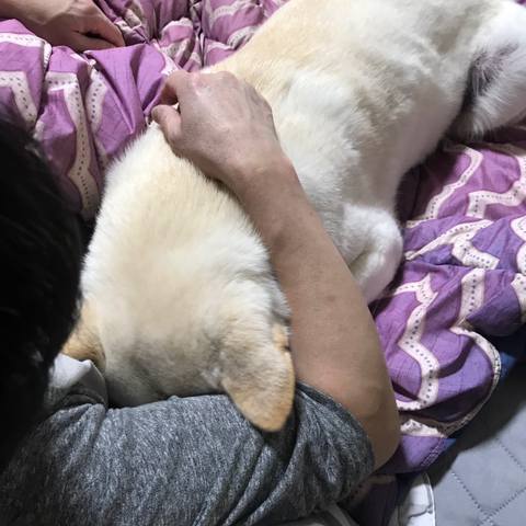 우리-애-아빠-보는-눈빛-봐-25-이미지