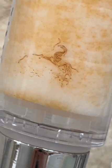 인도네시아-숙소의-충격적-샤워필터안-모습-2-이미지