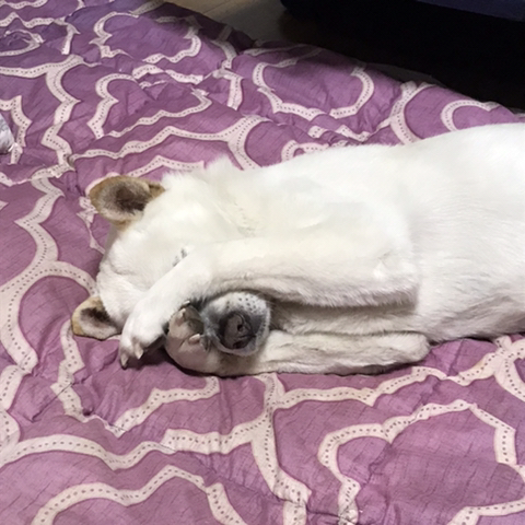 우리-애-아빠-보는-눈빛-봐-70-이미지