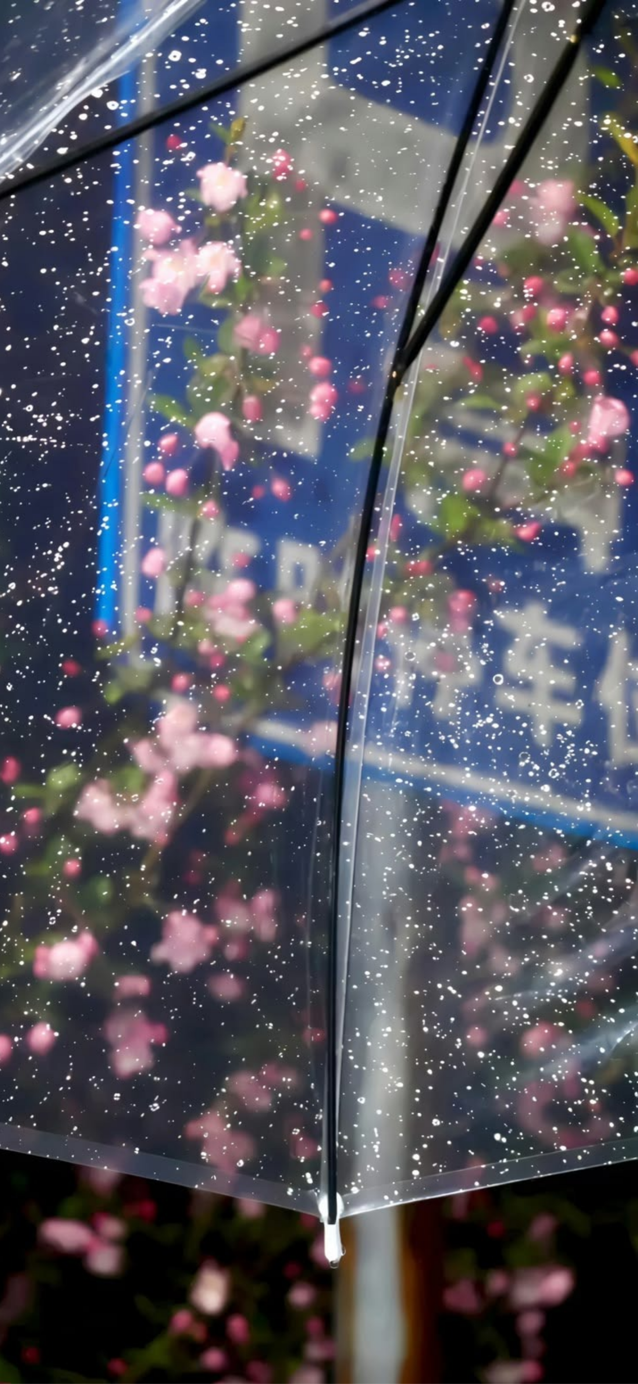 내가-쓰려고-만든-3월-달력-배경화면-65-이미지