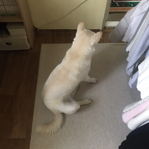 우리-애-아빠-보는-눈빛-봐-34-이미지