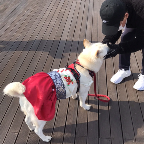 우리-애-아빠-보는-눈빛-봐-3-이미지