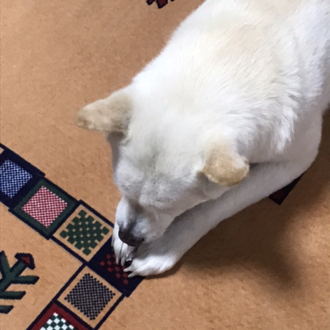 우리-애-아빠-보는-눈빛-봐-74-이미지