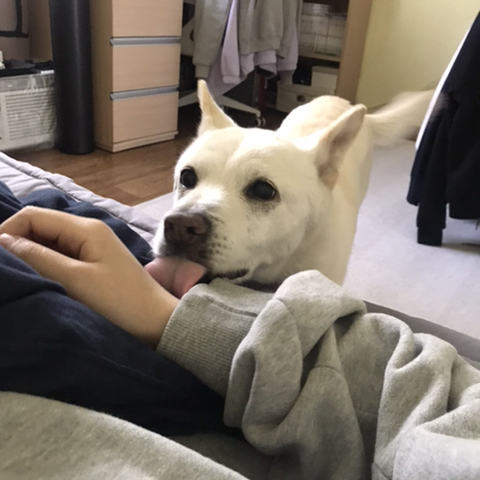 우리-애-아빠-보는-눈빛-봐-45-이미지