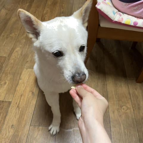 우리-애-아빠-보는-눈빛-봐-97-이미지