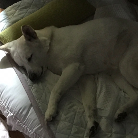 우리-애-아빠-보는-눈빛-봐-69-이미지