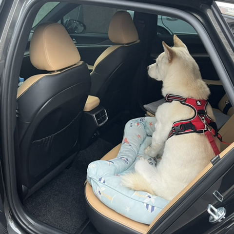 우리-애-아빠-보는-눈빛-봐-91-이미지