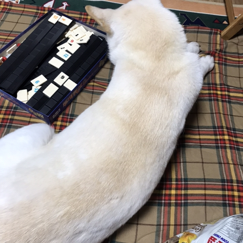 우리-애-아빠-보는-눈빛-봐-12-이미지