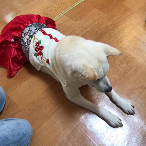 우리-애-아빠-보는-눈빛-봐-13-이미지