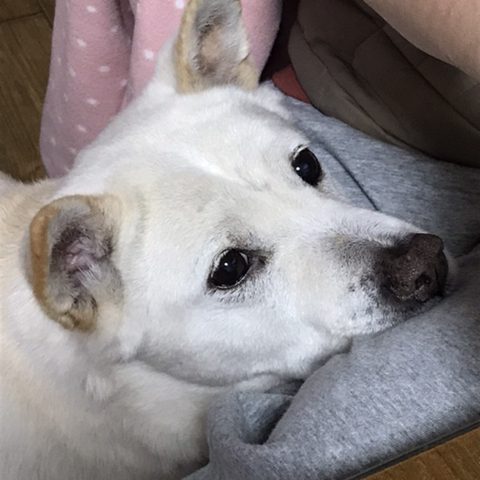 우리-애-아빠-보는-눈빛-봐-28-이미지