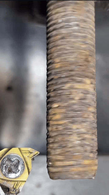 이건-뭐라고-부르는지-몰라서-제목-없음-1-이미지