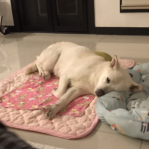 우리-애-아빠-보는-눈빛-봐-57-이미지