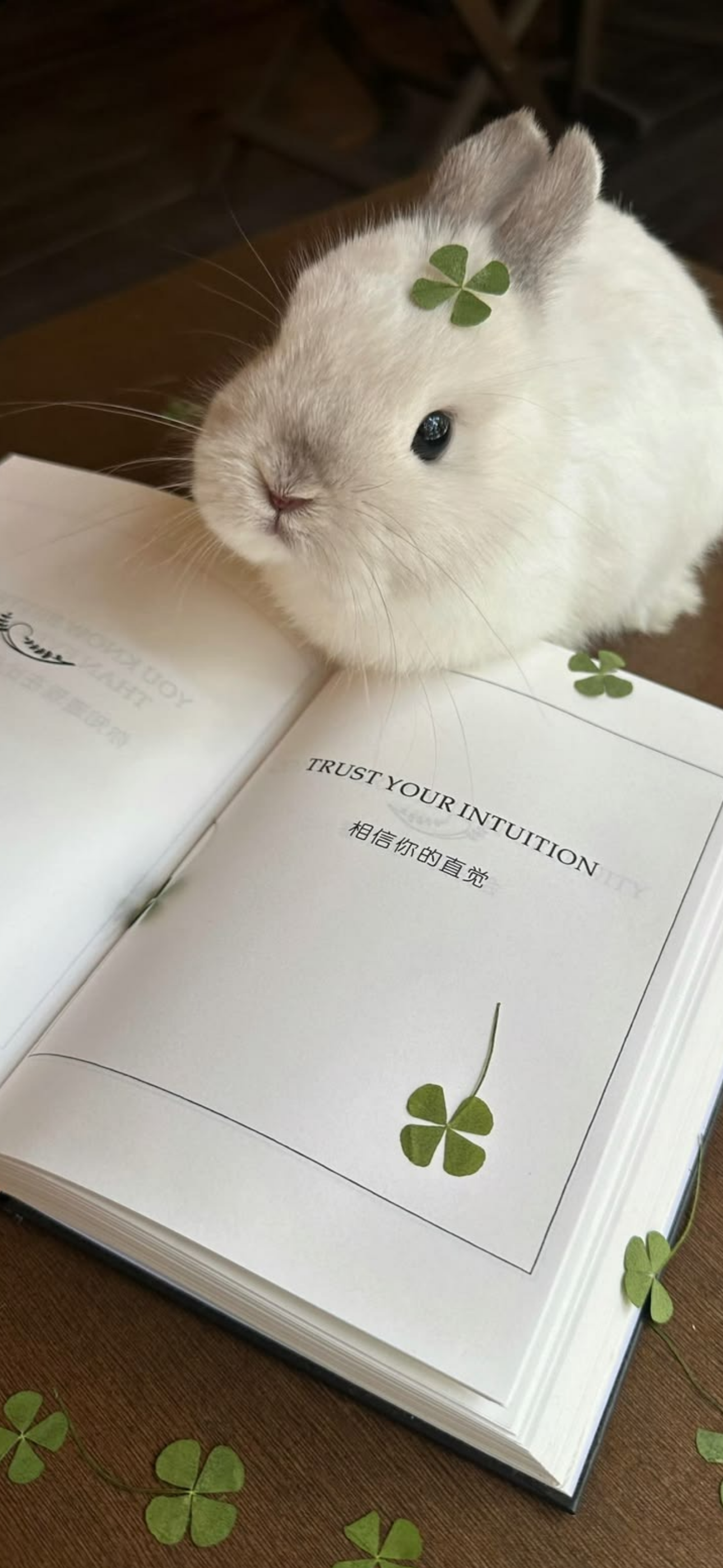 내가-쓰려고-만든-3월-달력-배경화면-79-이미지