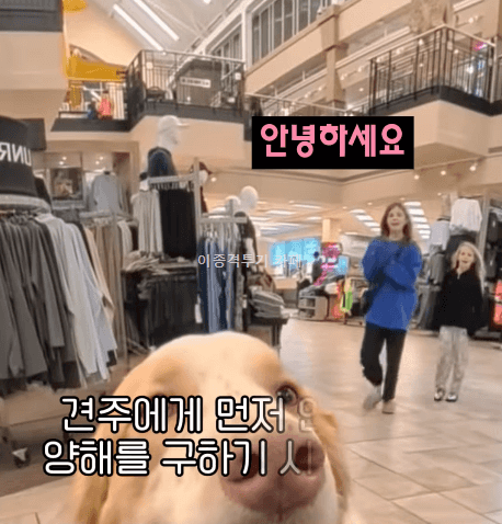 멍멍이-만져도-되냐고-물어보는-아이들-0-이미지