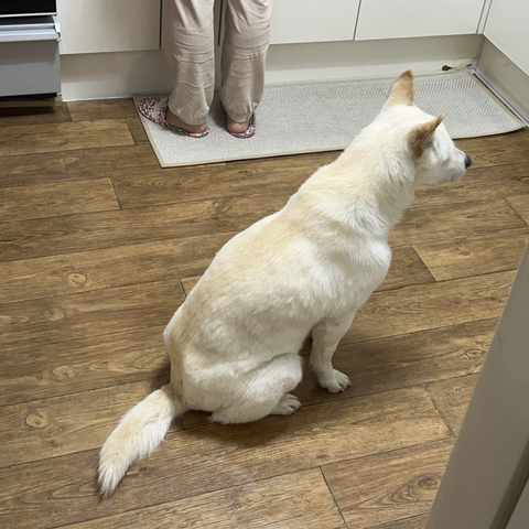 우리-애-아빠-보는-눈빛-봐-80-이미지