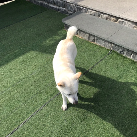 우리-애-아빠-보는-눈빛-봐-53-이미지