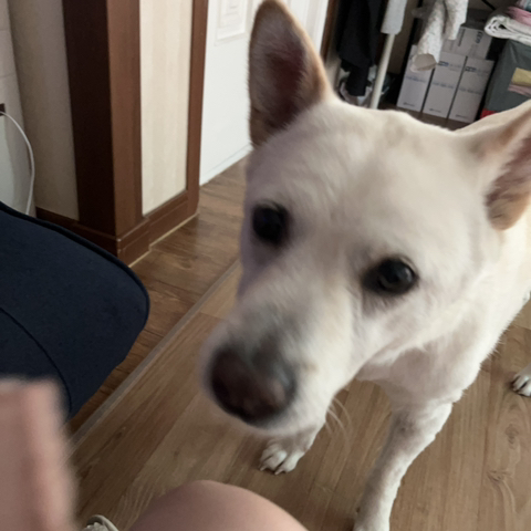 우리-애-아빠-보는-눈빛-봐-90-이미지