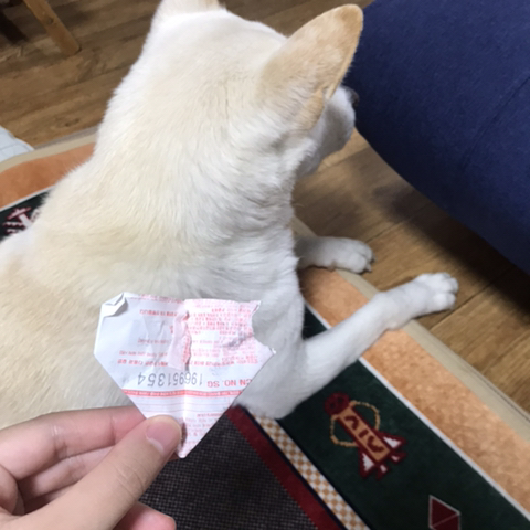 우리-애-아빠-보는-눈빛-봐-77-이미지