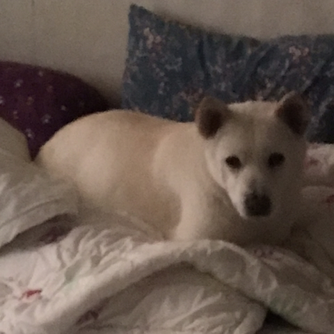 우리-애-아빠-보는-눈빛-봐-17-이미지