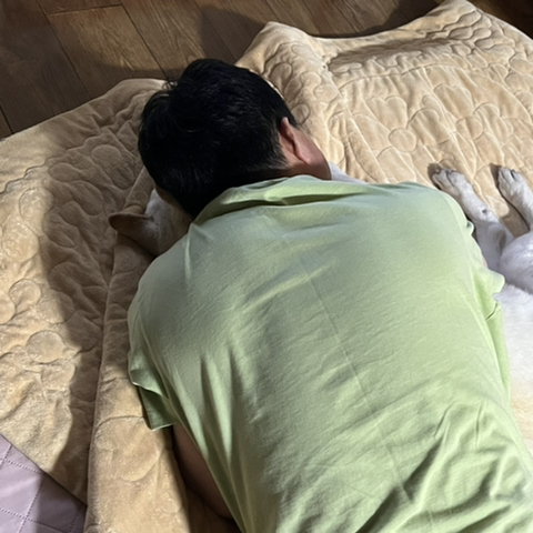 우리-애-아빠-보는-눈빛-봐-88-이미지