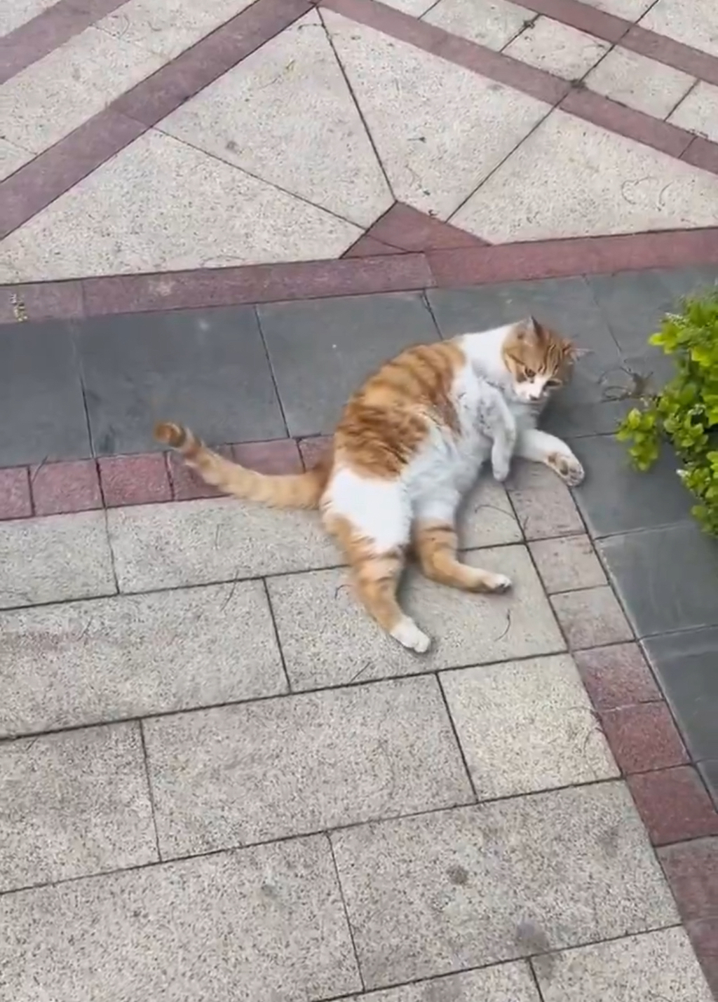 내-인생의-곤란함은-이런-것만-있었으면-좋겠다-1-이미지