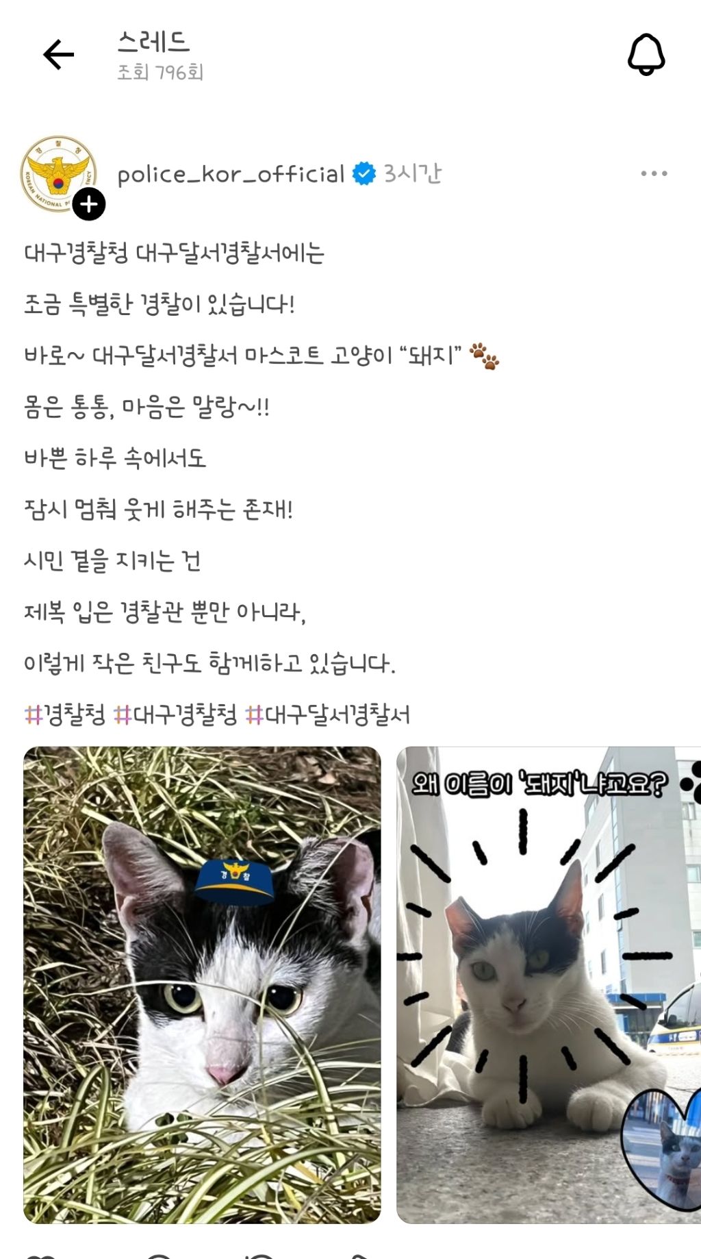 대구경찰청-대구달서경찰서-마스코트-이름이-"돼지"고양이-0-이미지