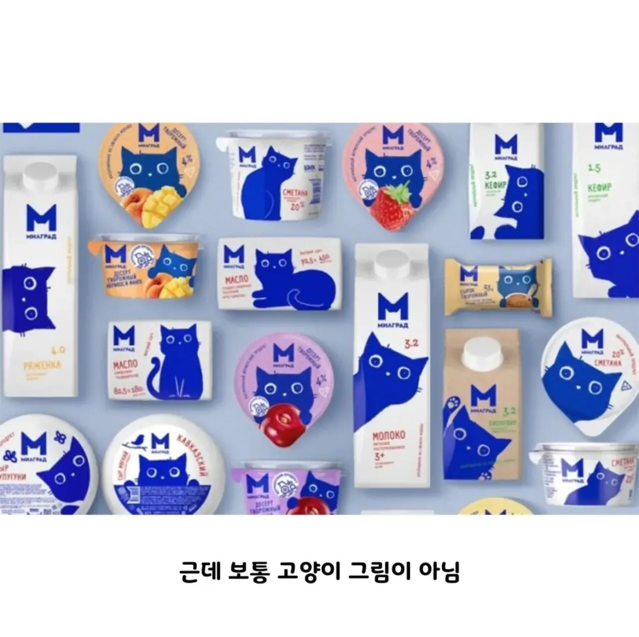 우유갑으로-디자인상-받은-제품-2-이미지