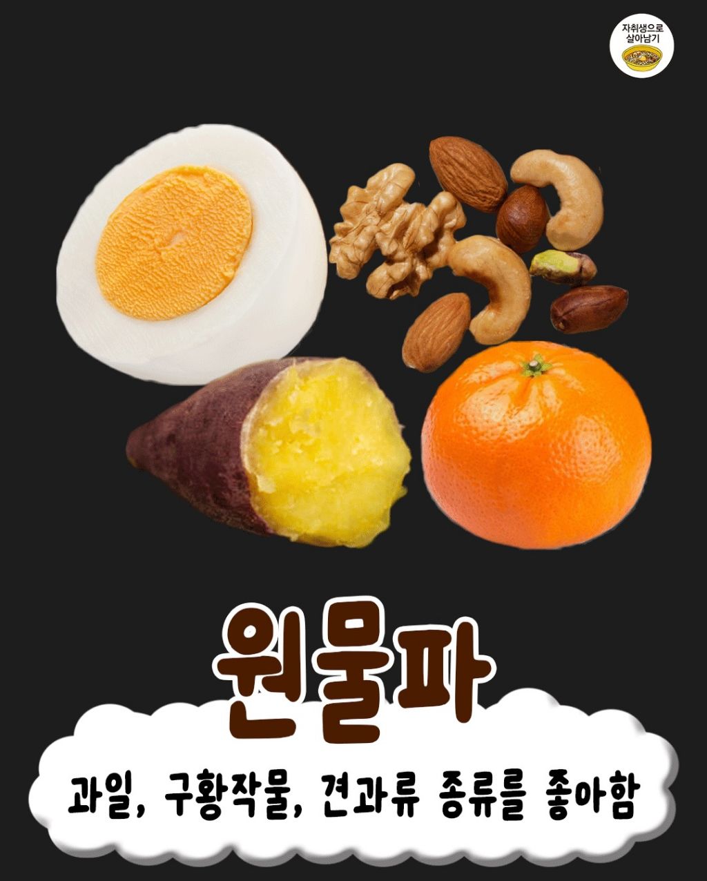 은근-갈리는-사무실-간식-취향-모음집-2-이미지