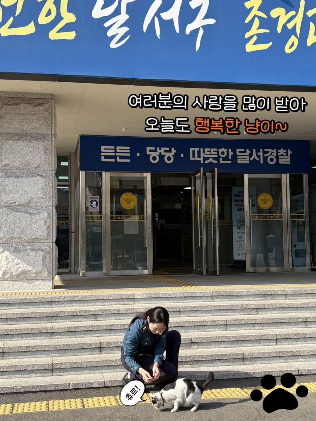 대구경찰청-대구달서경찰서-마스코트-이름이-"돼지"고양이-9-이미지