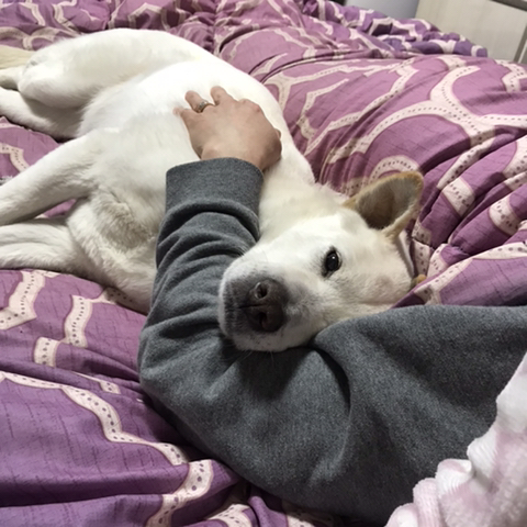 우리-애-아빠-보는-눈빛-봐-39-이미지