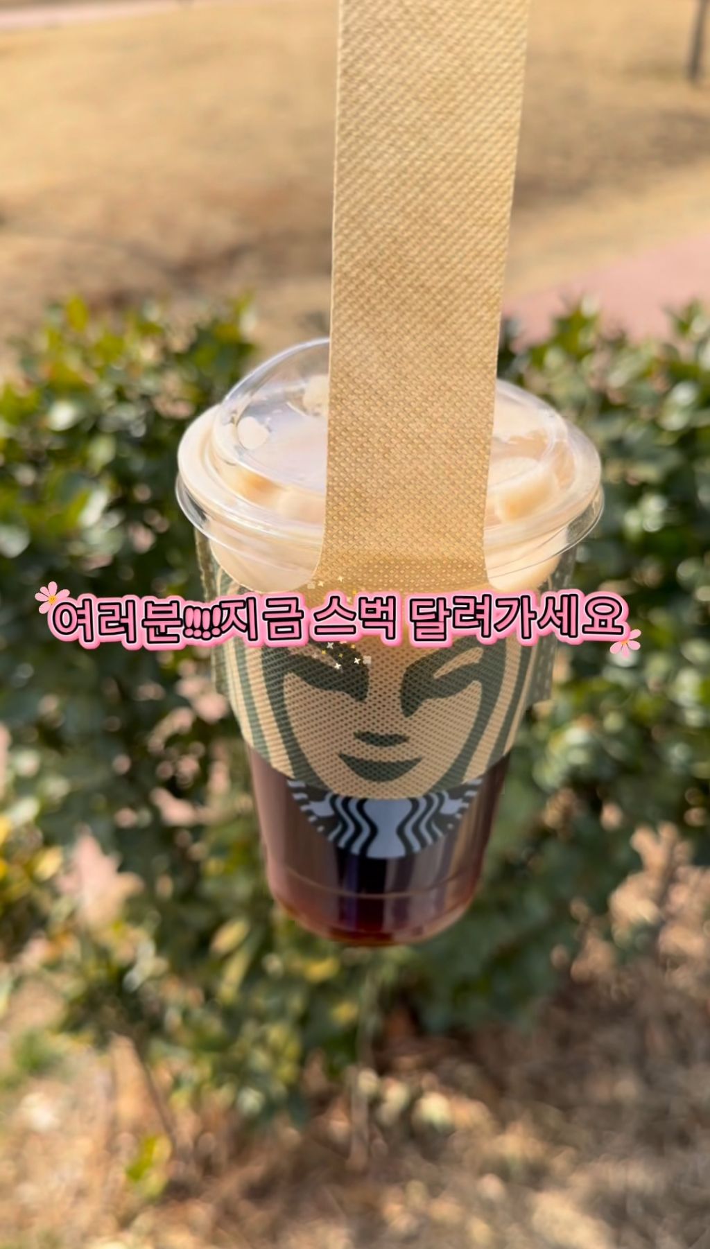 스타벅스-한잔-전용-음료-캐리어-출시.jpg-0-이미지