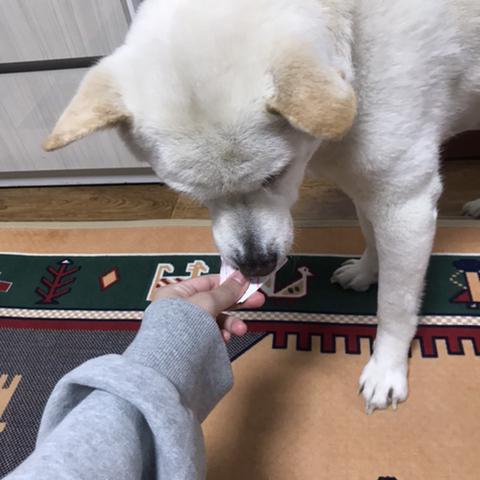 우리-애-아빠-보는-눈빛-봐-76-이미지