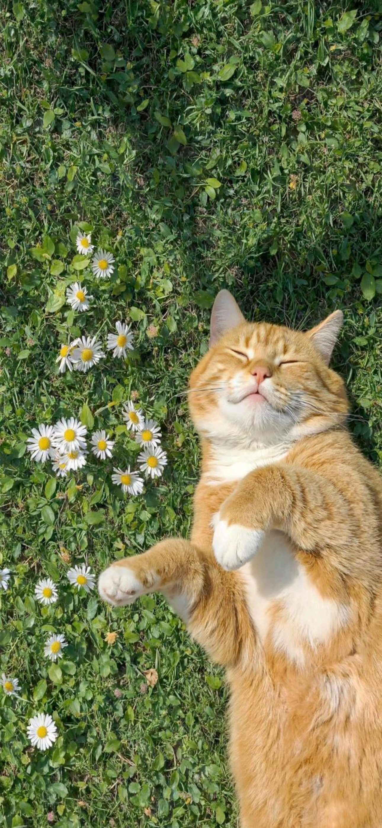 내가-쓰려고-만든-3월-달력-배경화면-39-이미지