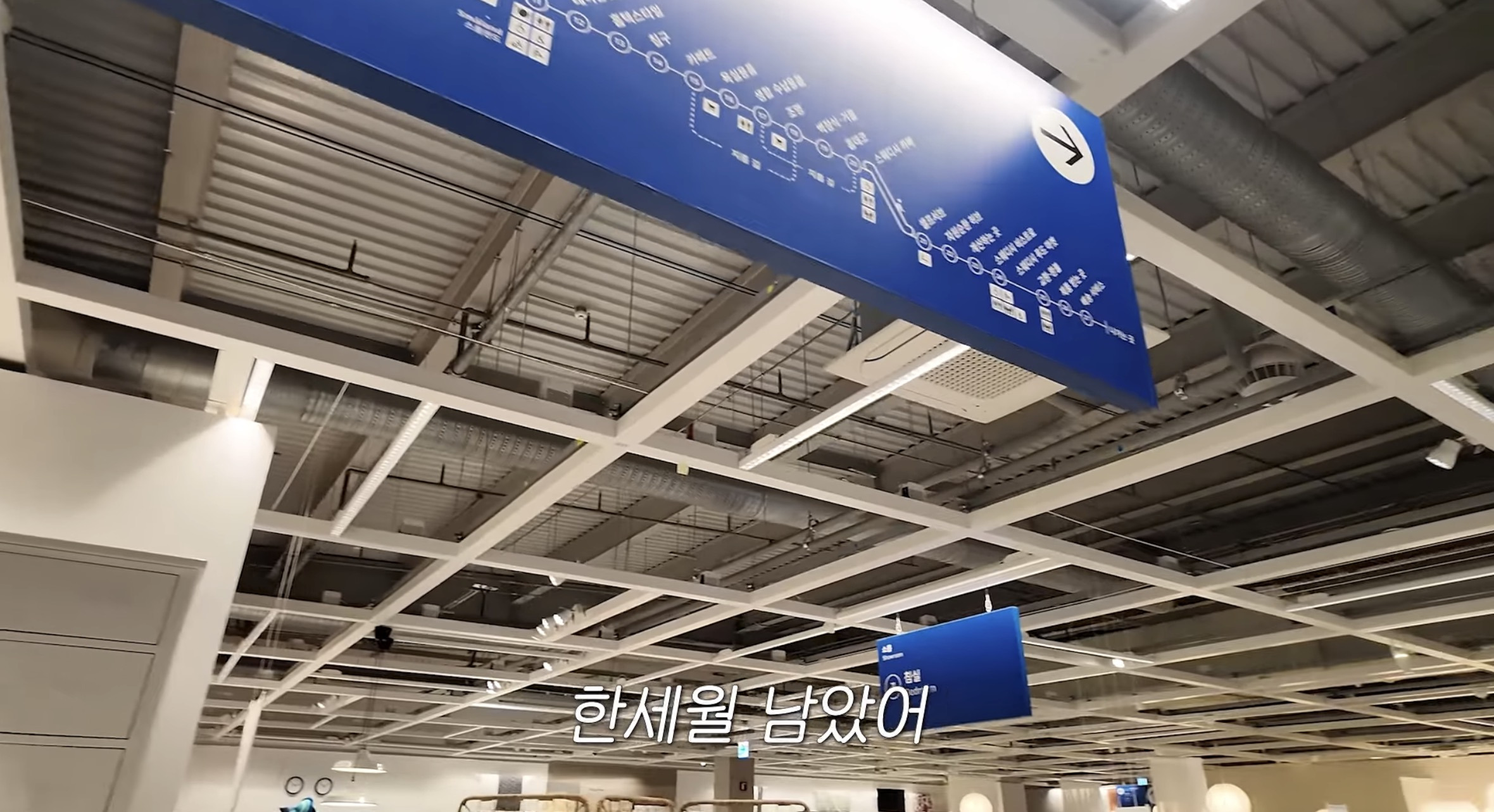 체력거지인-사람이-너무-넓은-쇼핑매장-가면-하는-생각-6-이미지