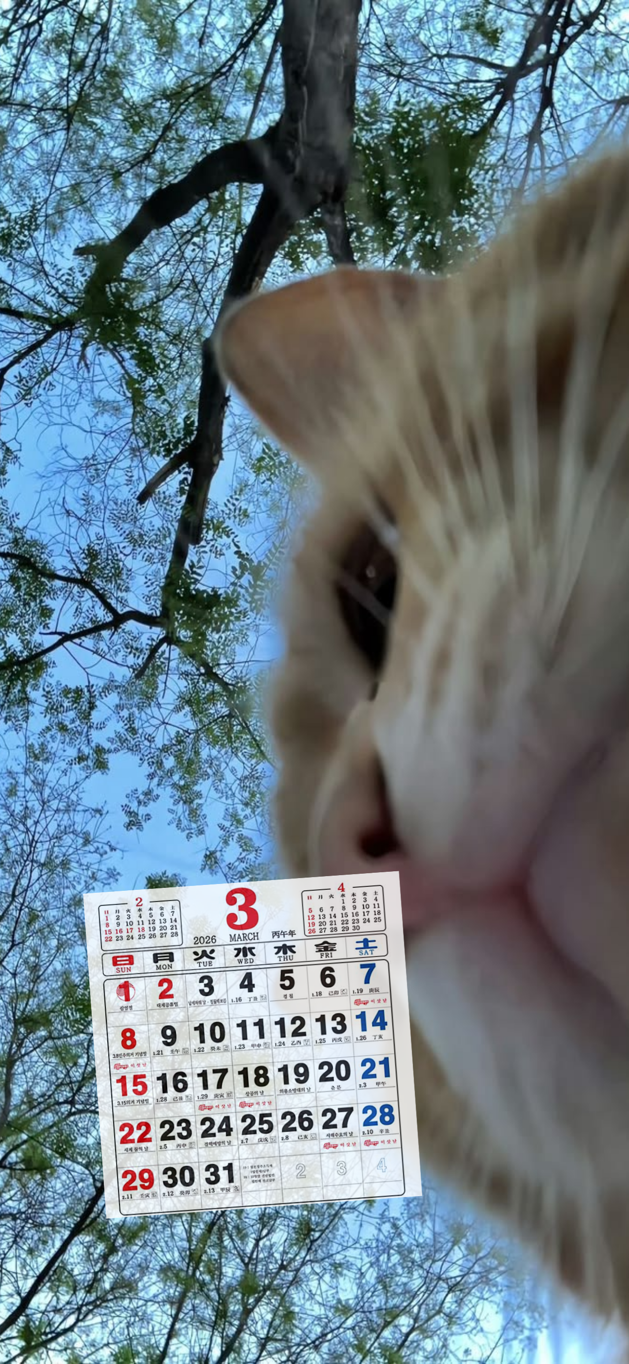 내가-쓰려고-만든-3월-달력-배경화면-46-이미지