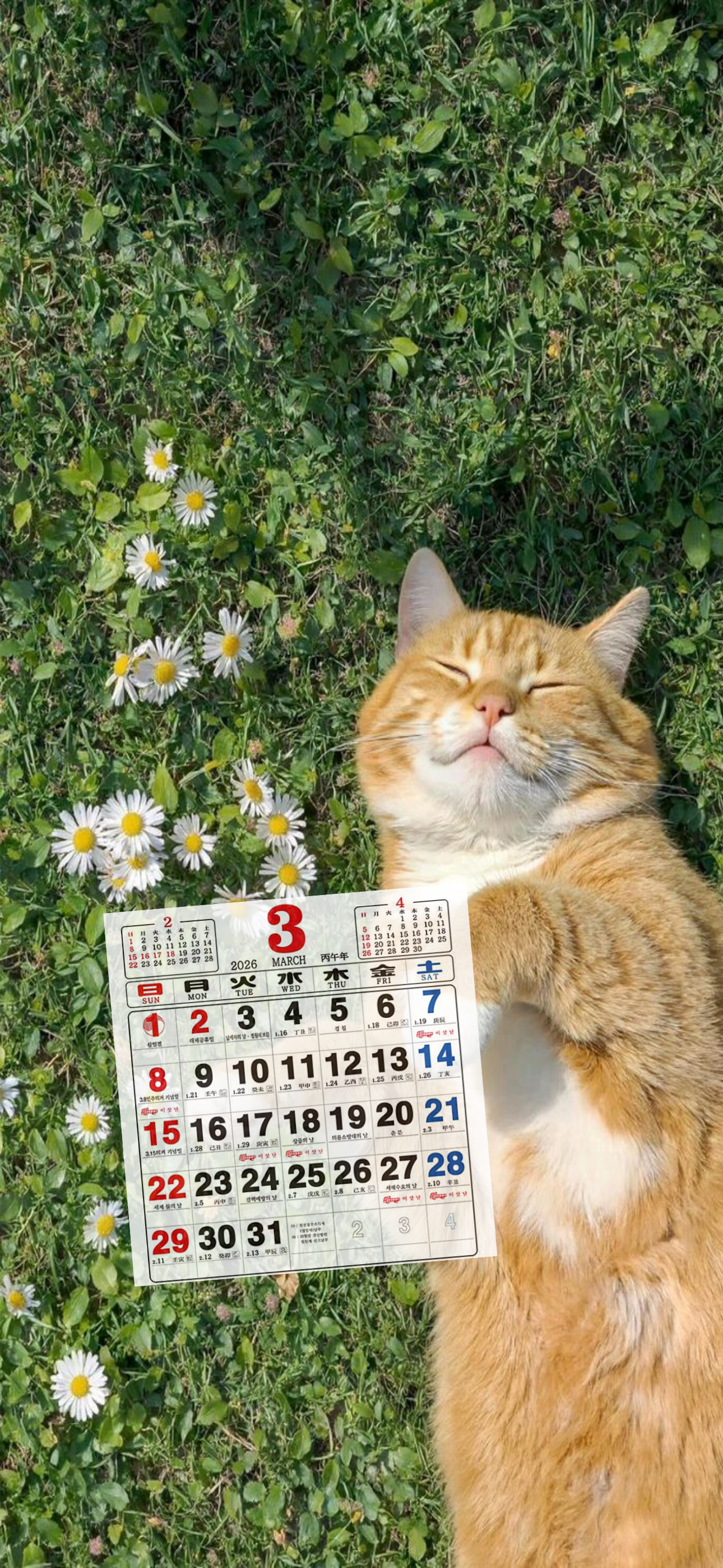 내가-쓰려고-만든-3월-달력-배경화면-38-이미지