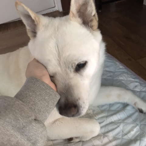 우리-애-아빠-보는-눈빛-봐-50-이미지