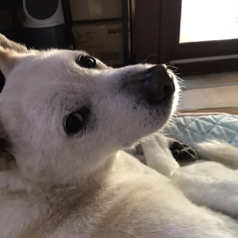 우리-애-아빠-보는-눈빛-봐-62-이미지