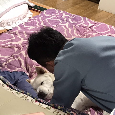 우리-애-아빠-보는-눈빛-봐-7-이미지