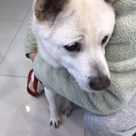 우리-애-아빠-보는-눈빛-봐-10-이미지